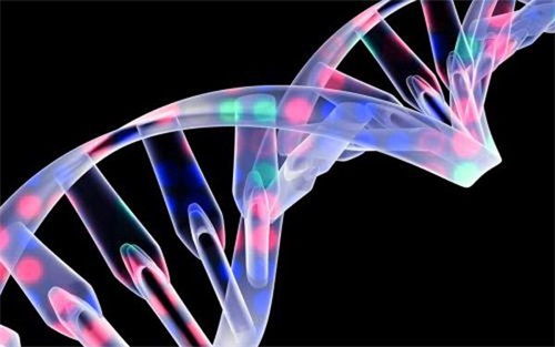 生物相容性是什么意思？怎么判斷醫(yī)療器械要做哪些生物相容性測(cè)試項(xiàng)目？(圖1)
